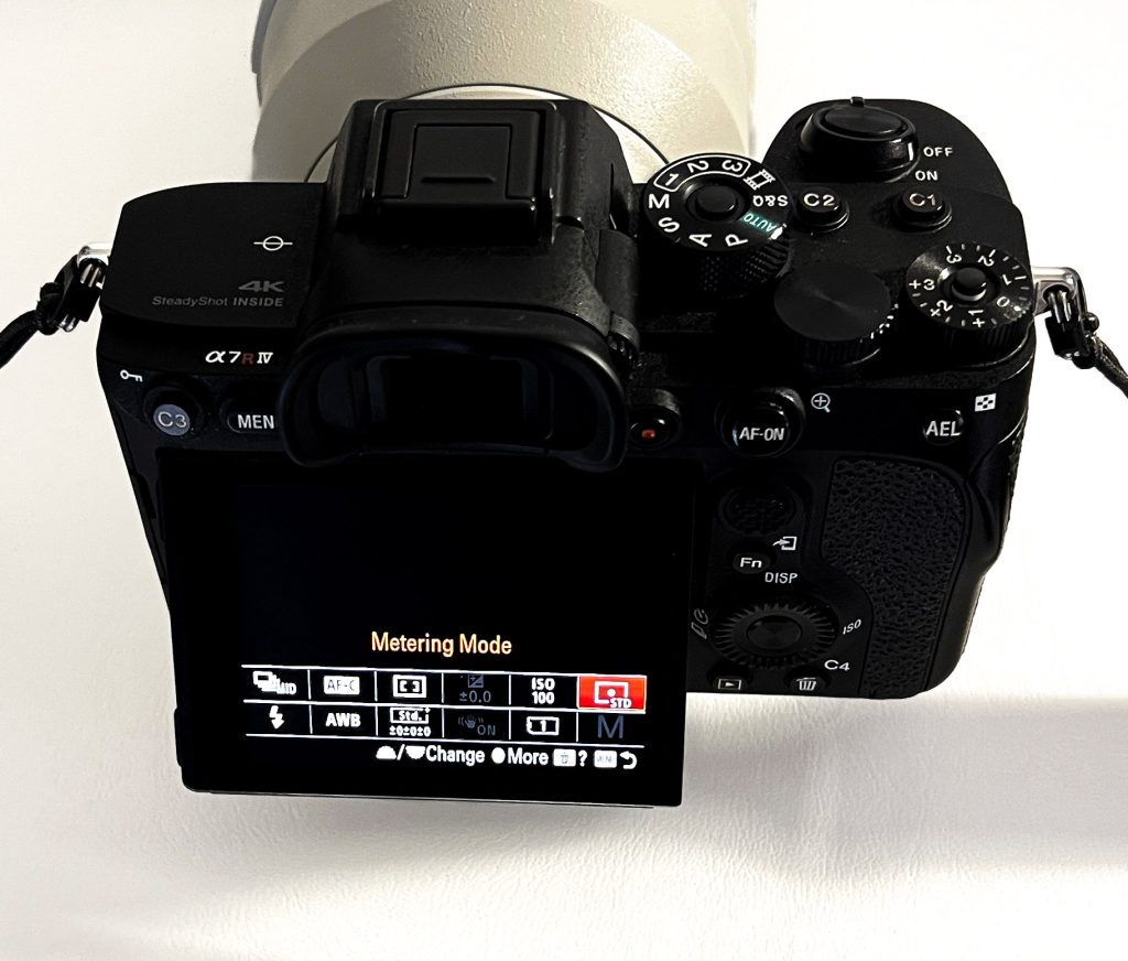 Fn button on rear of camera for settings menu