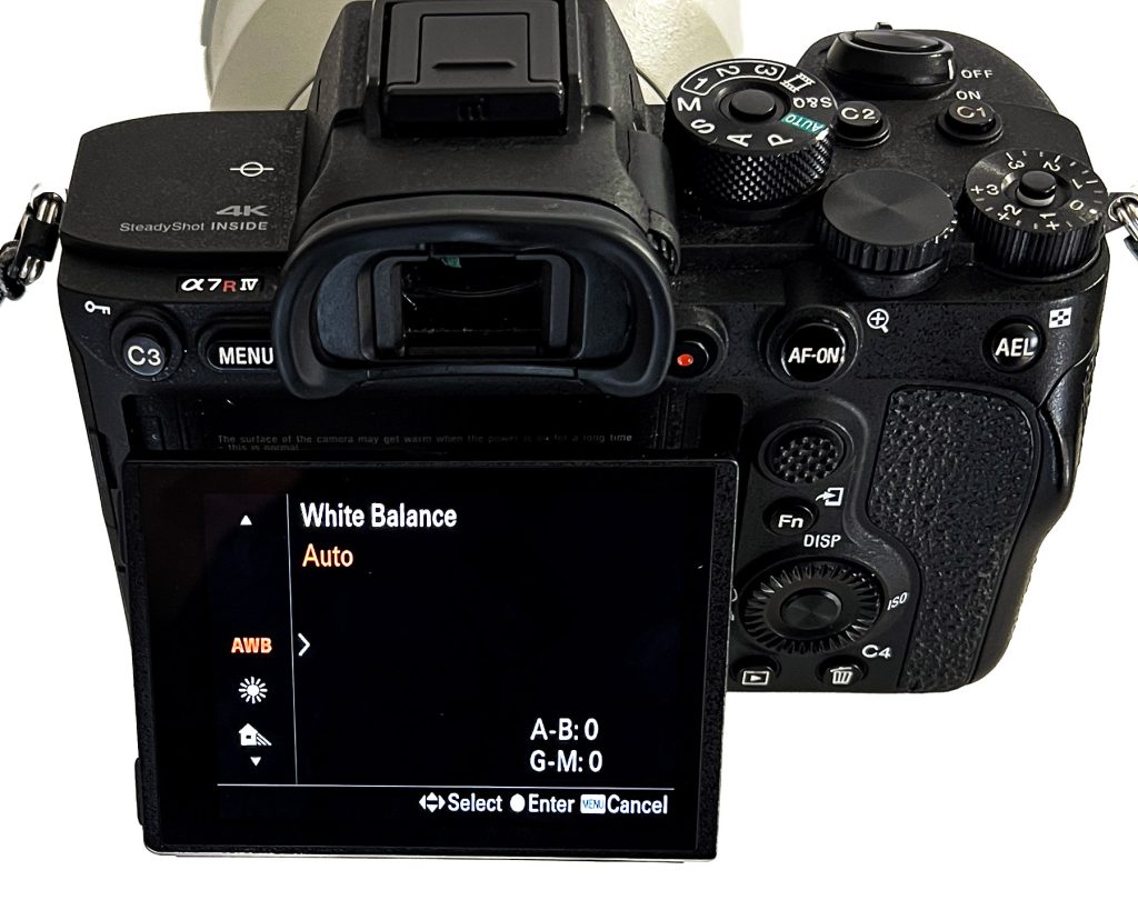 White Balance screen menu on a camera