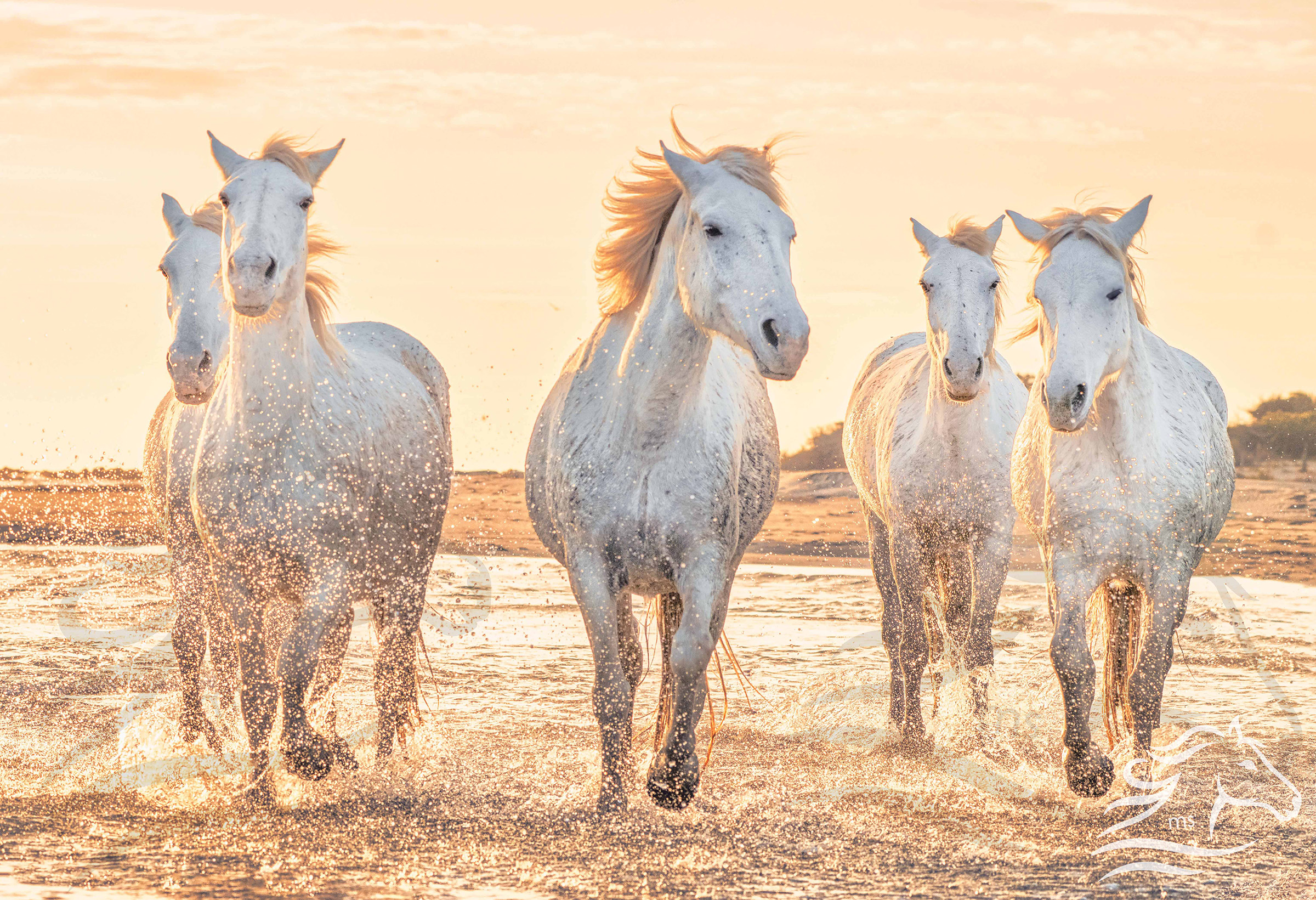 Cavalcade du Soir - Limited Edition Fine Art Print