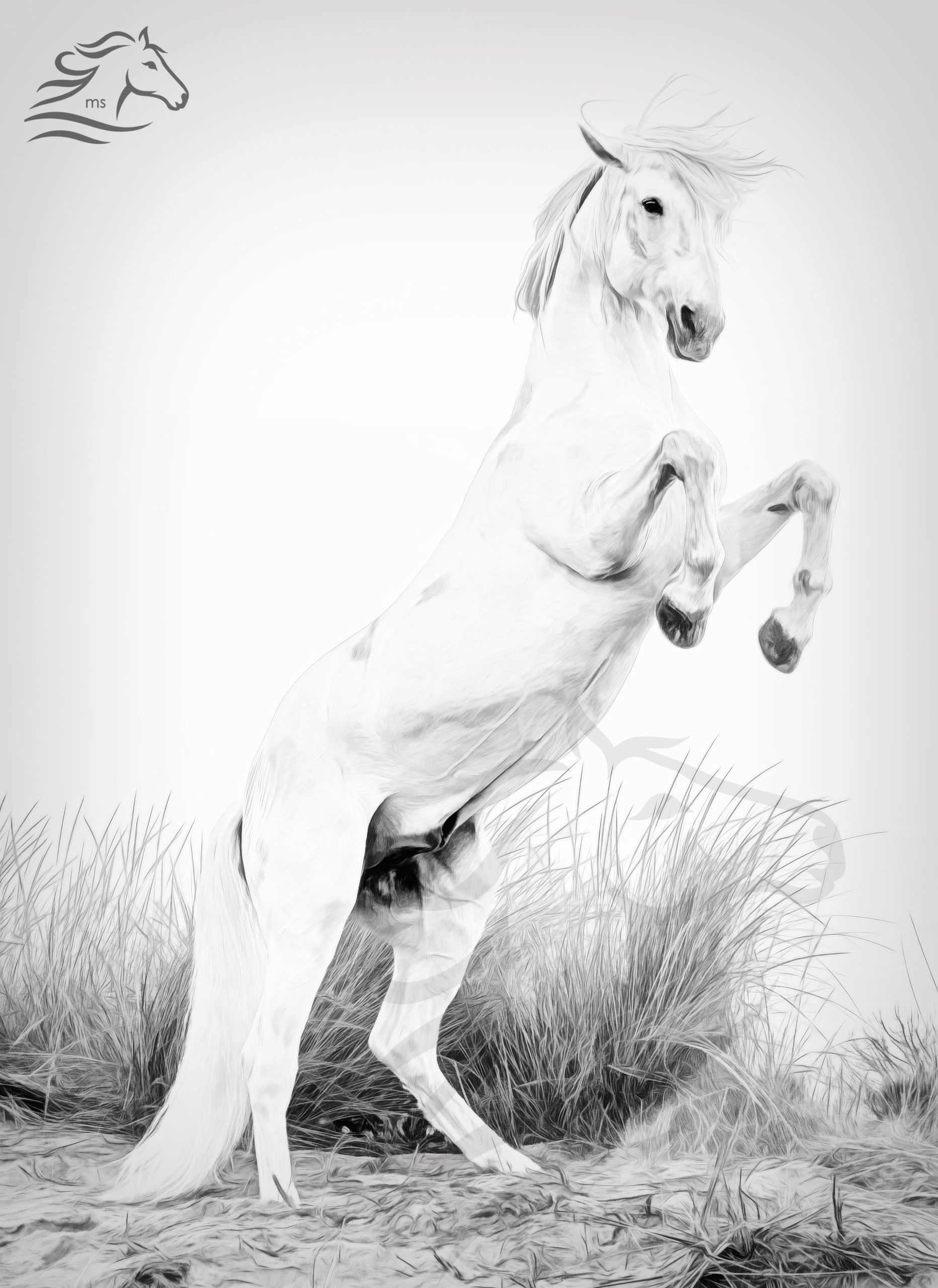Majesty Unbridled