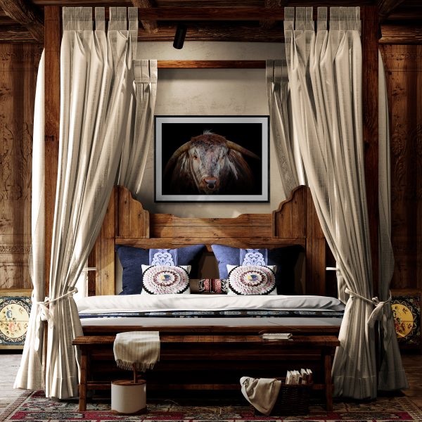 Longhorn in a bedroom setting