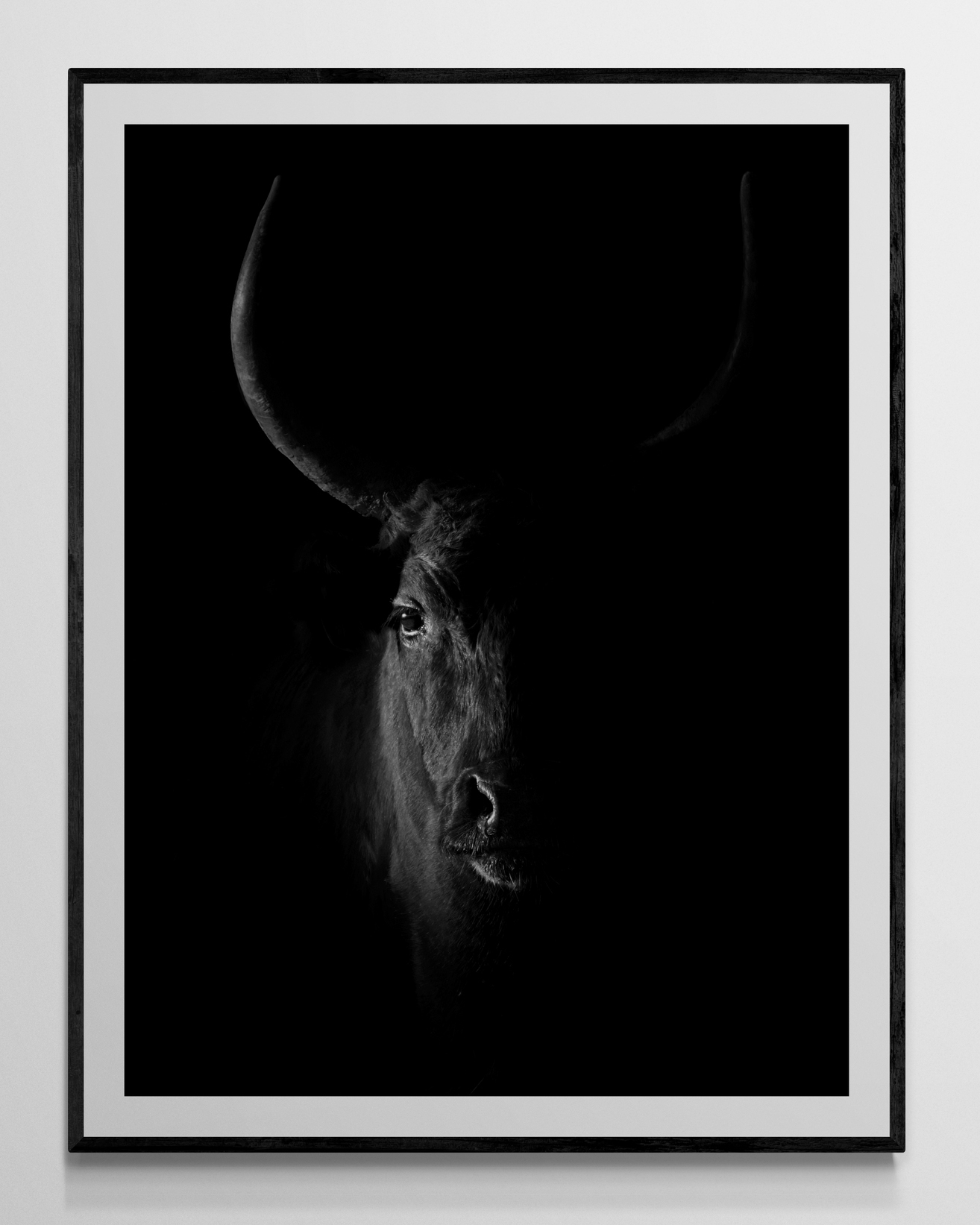 La Taureau Noir - Limited Edition Fine Art Print - Image 7