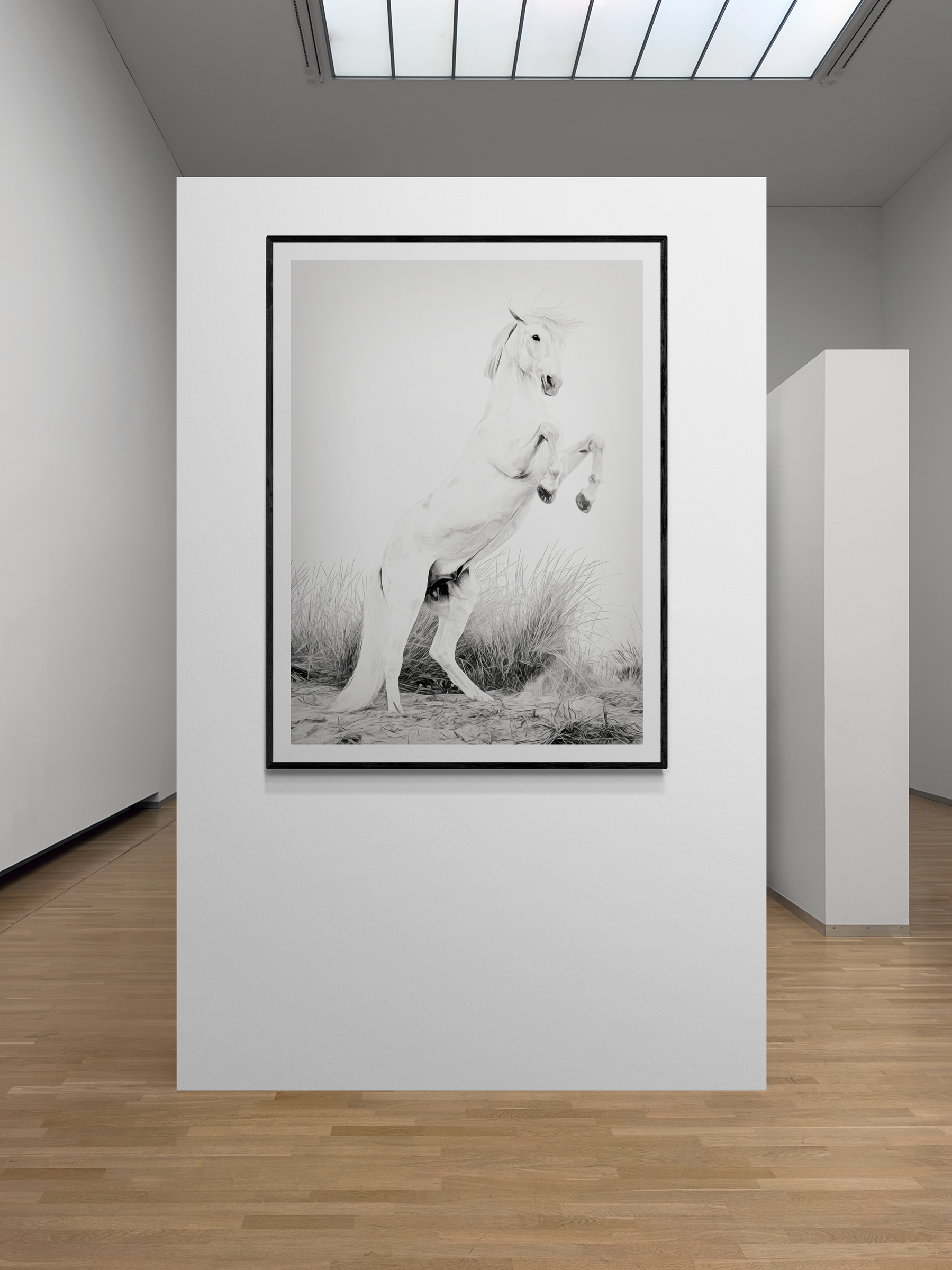 Majesty Unbridled - Image 5