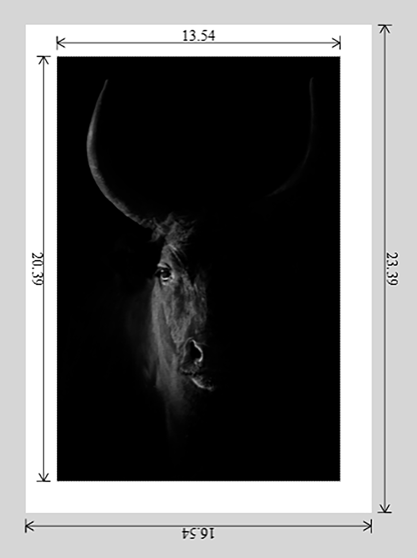 La Taureau Noir - Limited Edition Fine Art Print - Image 9