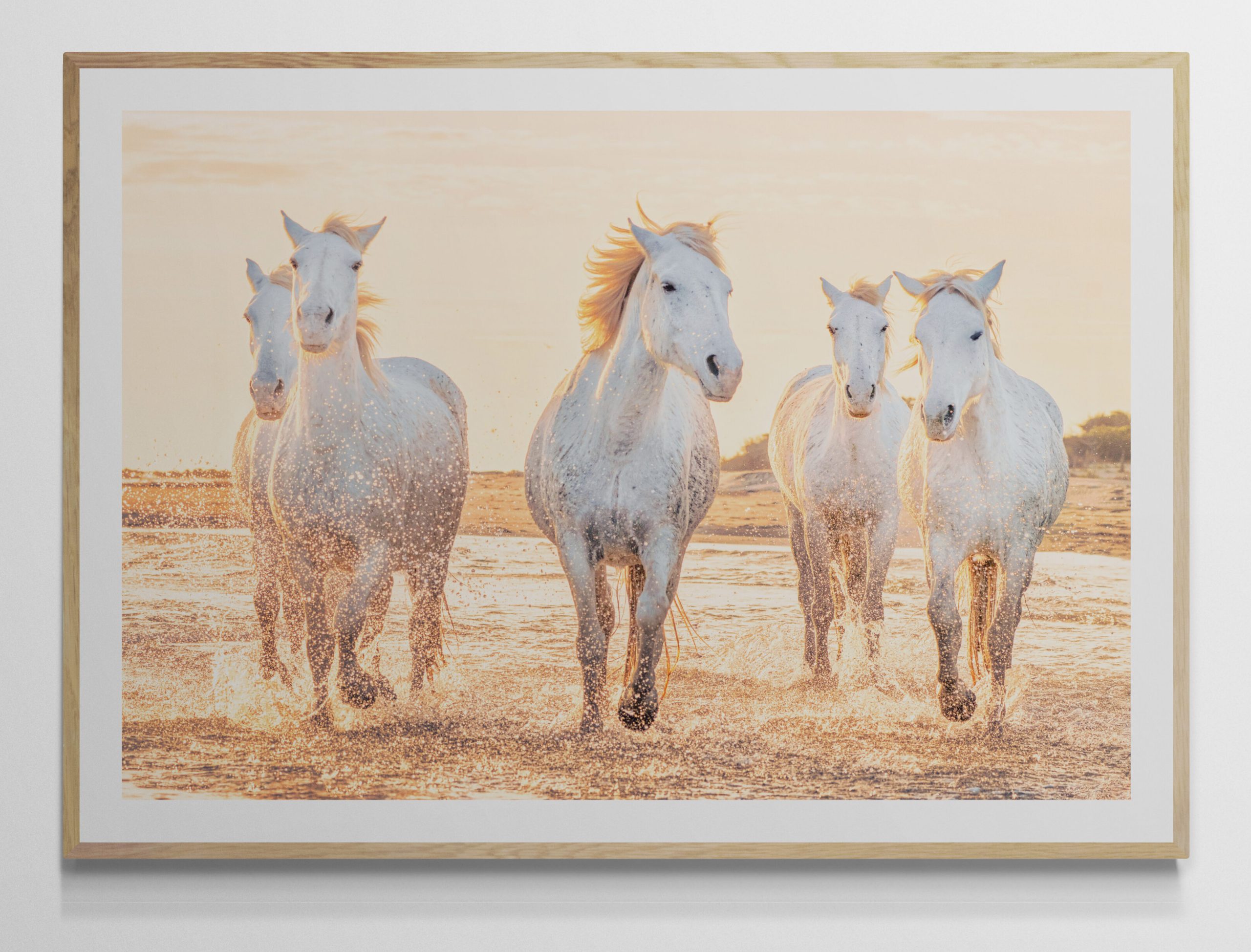 Cavalcade du Soir. 5 horses beach up close bright and colourful. On a sunset beach in the Camargue. framed