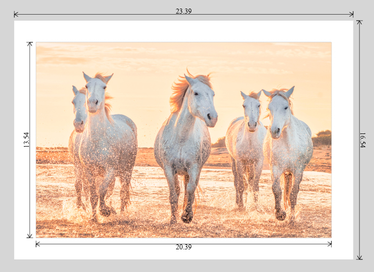 Cavalcade du Soir - Limited Edition Fine Art Print - Image 8