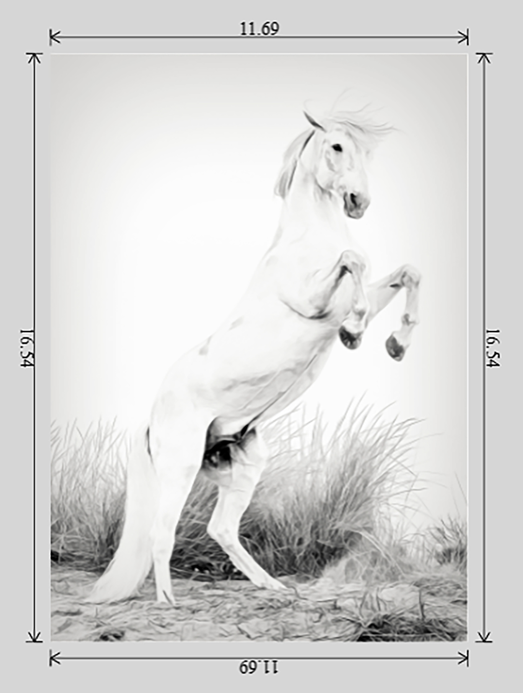 Majesty Unbridled - Image 6