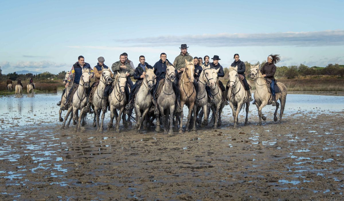Bandido Gardians, Horses and bulls Aigues Mortes Fete Votive