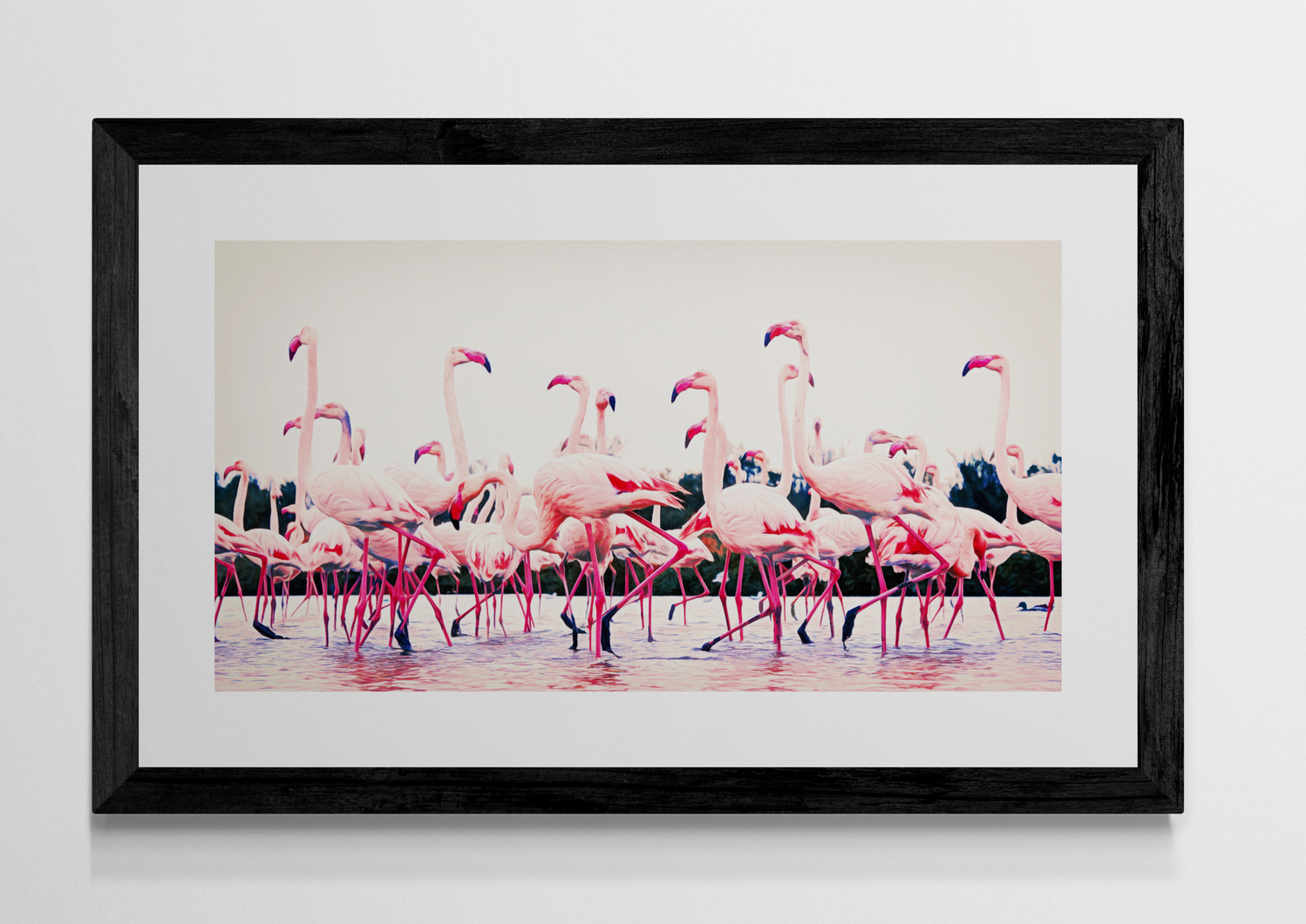 Flamingo Dance - Image 3