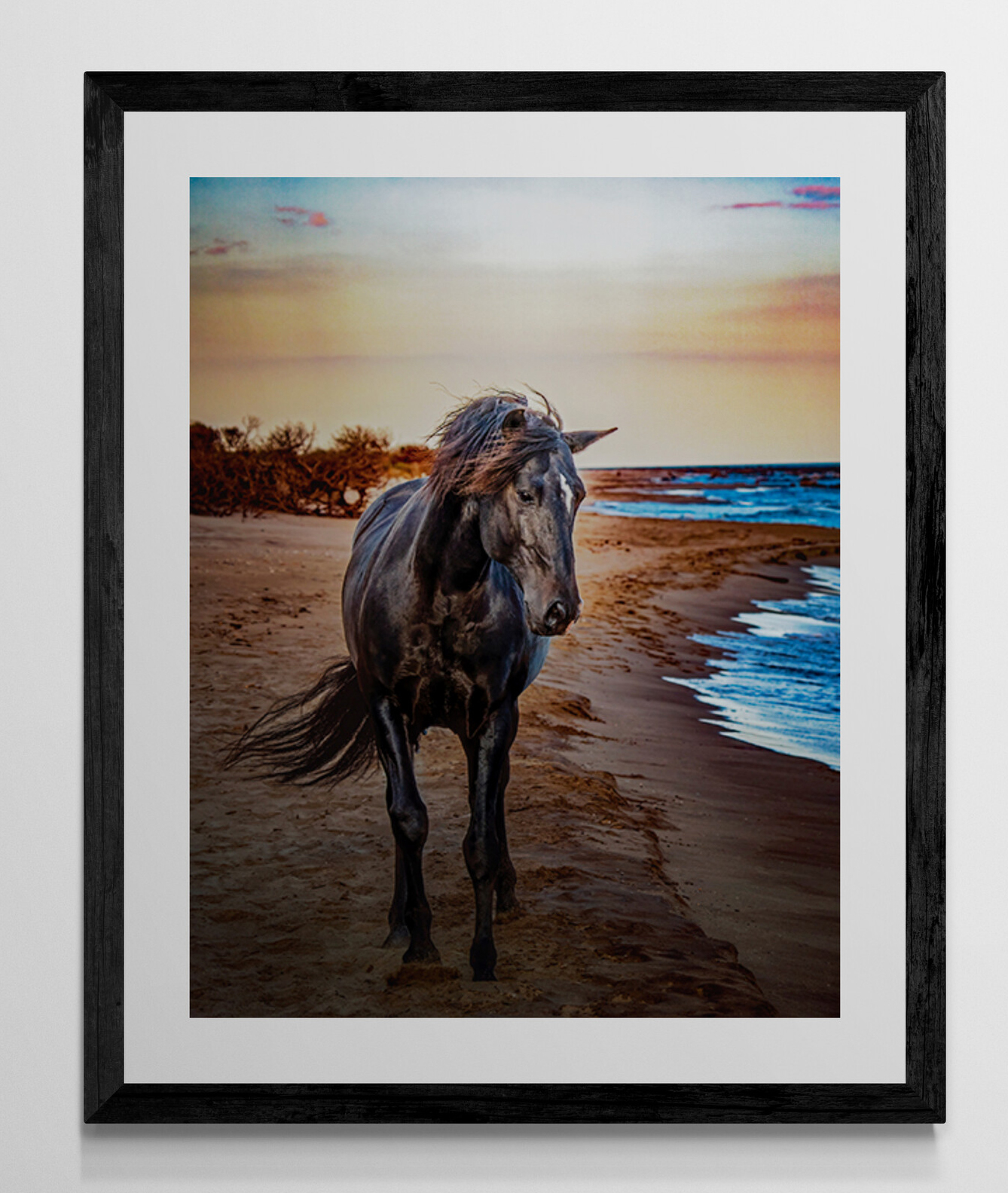 Black Seahorse - Image 6