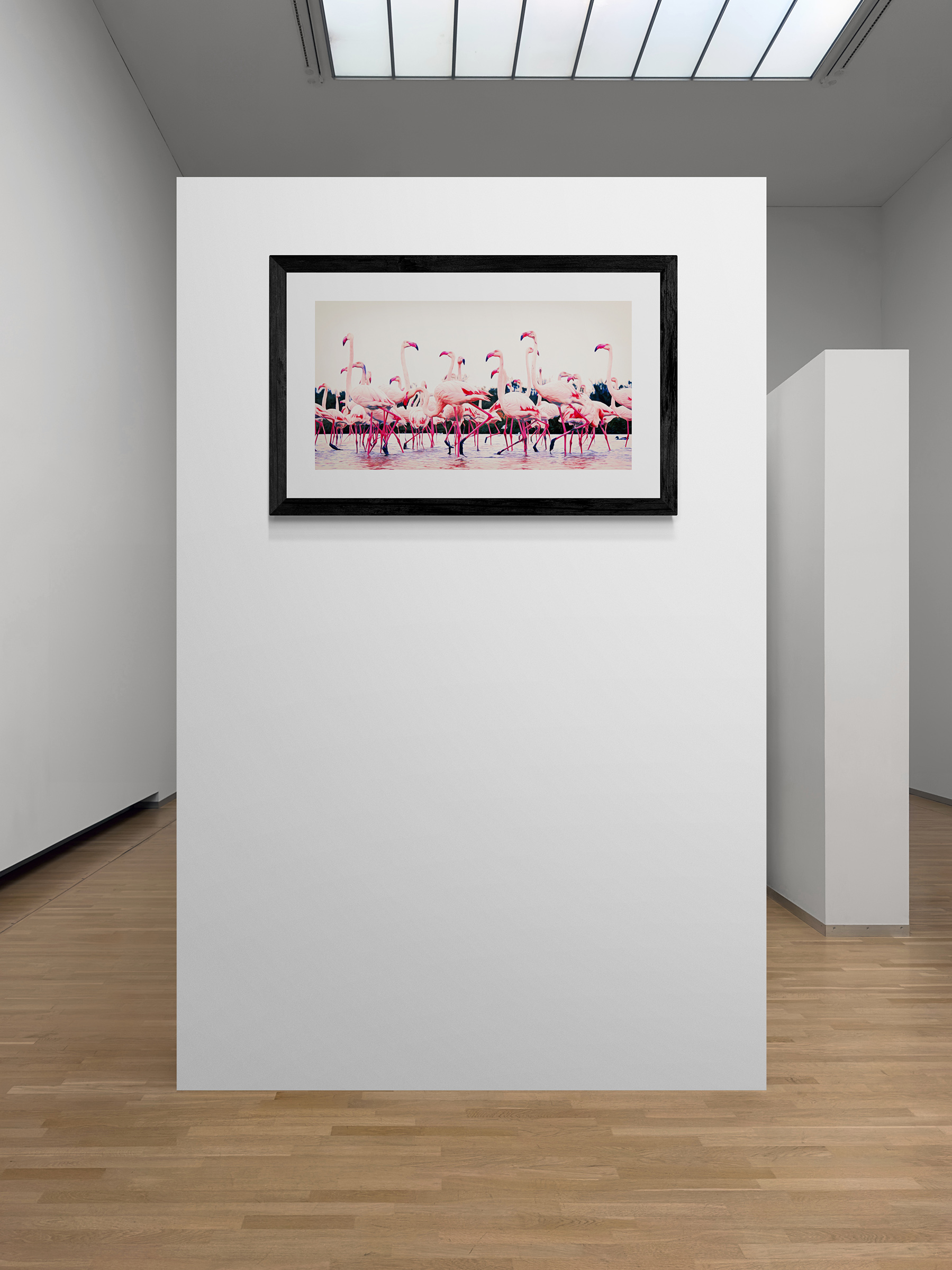 Flamingo Dance - Image 5