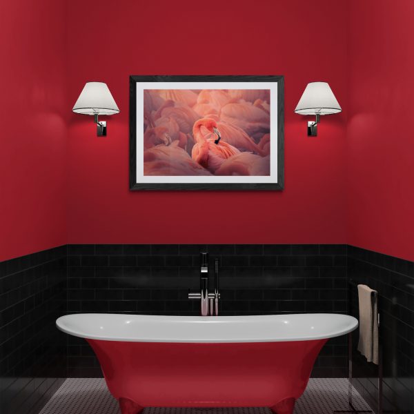 Flamingo Print in bathroom