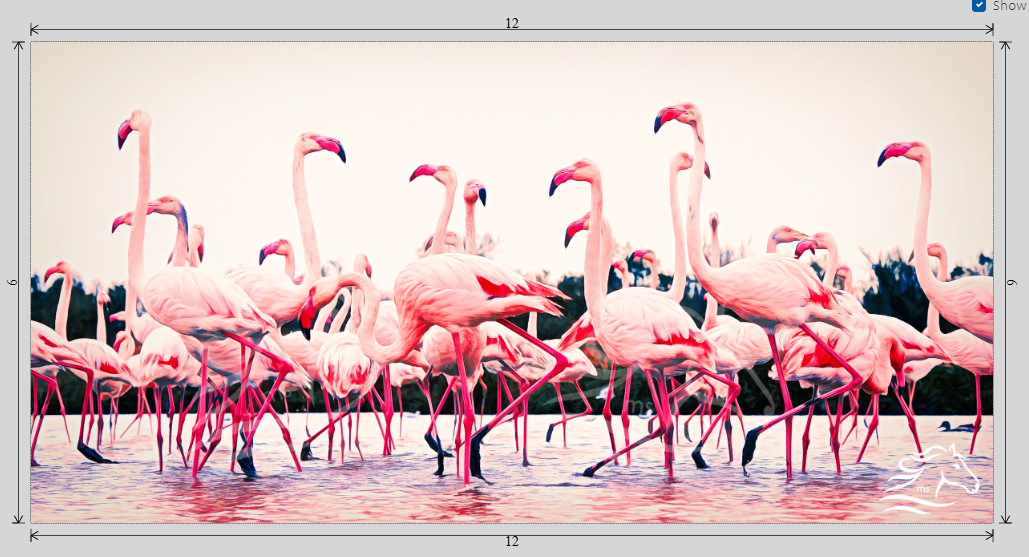 Flamingo Dance - Image 6
