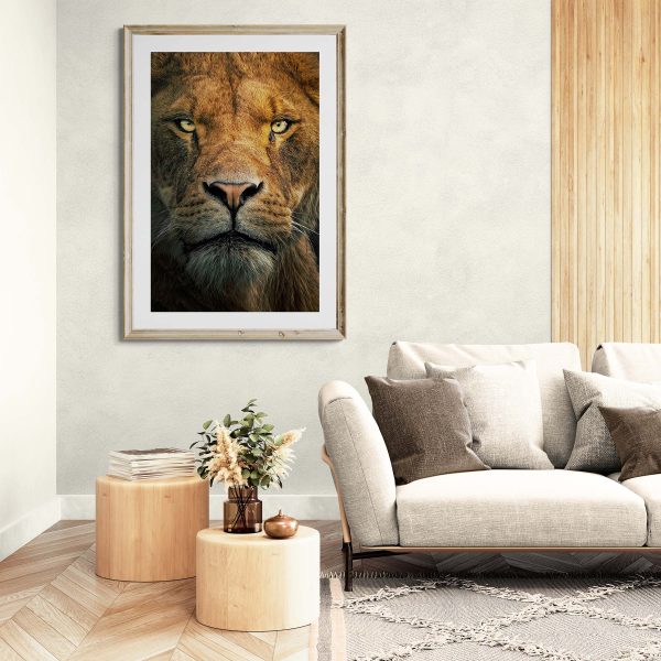 lion in a living setting