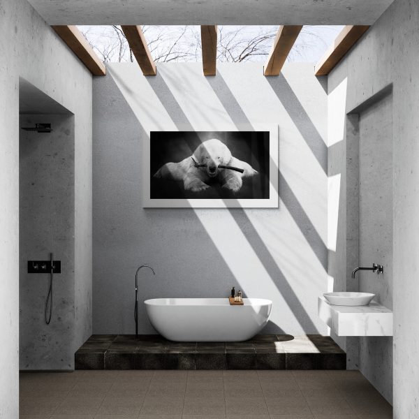 polar bear in a bath setting