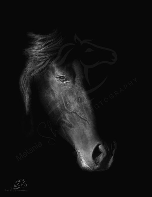 Beaute en Noir print