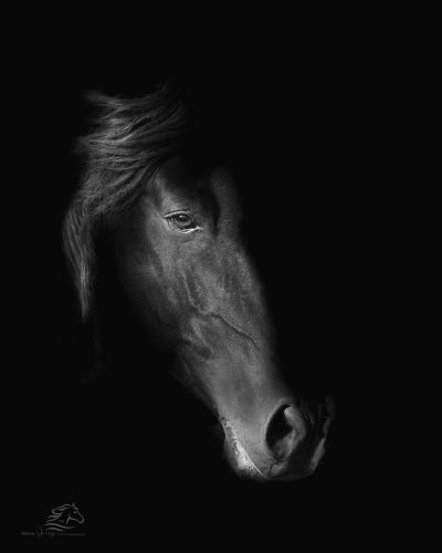 Beaute en Noir sm sig